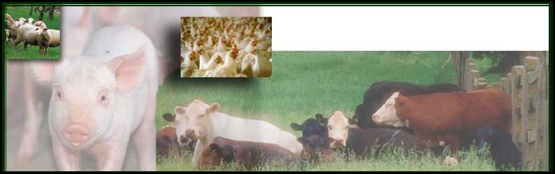 Filter Manufacturer:  Manure trash trap, Manure filter, Liquid manure filter, Trash filter, Ag filter, Agricultural filter, Pump filter, Applicator debris trap